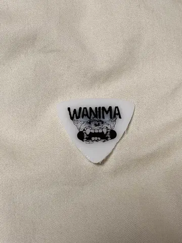 WANIMA 본인 실용 피크