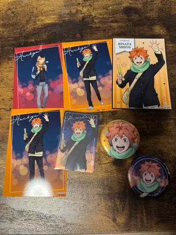 하이큐 코스모 월드 히나타 쇼요 세트