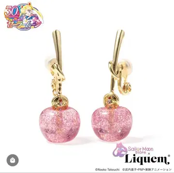 Liquem Sailor Moon 세일러문 귀찌