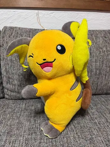 포켓몬스터 홋페피타 빅 봉제 인형 라이츄