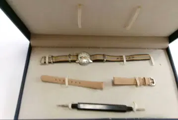 새상품 저널 스탠다드 스누피 루시 시계 WATCH