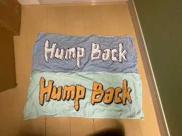 Hump Back 타월 2색 세트