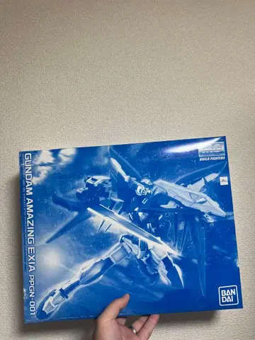 MG 1/100 건담 어메이징 엑시아