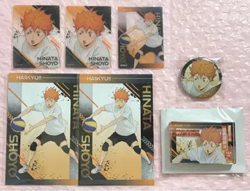 하이큐!! 가상 유스 합숙 히나타 쇼요 세트