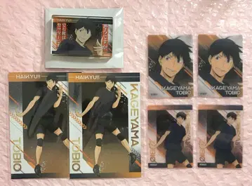 하이큐!! 유스 합숙 카게야마 토비오 세트