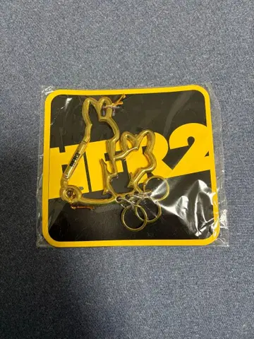 fr2 카라비너 키링