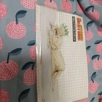 Dr. STONE BIG 아크릴 스탠드 이시가미 센쿠