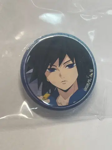 귀멸의 칼날 키메츠 학원 토미오카 기유 캔뱃지