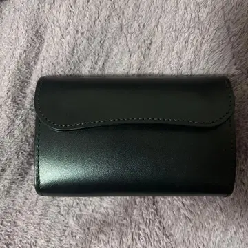 와일드 스완스 번