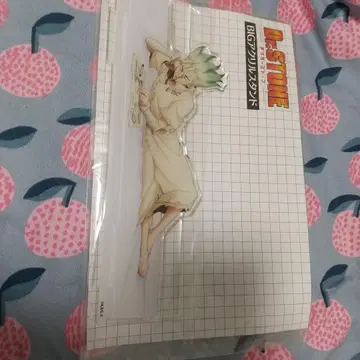 Dr.STONE BIG 아크릴 스탠드 이시가미 센쿠 동침