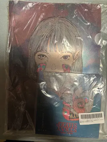 STRAY SHEEP 아트북반 DVD 클리어 파일 포함