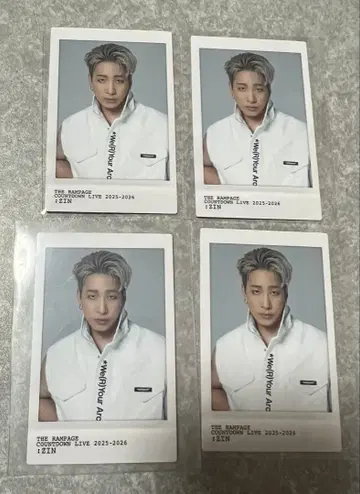 THE RAMPAGE 사카모토진 진 스티커 카드 4점 익명 배송