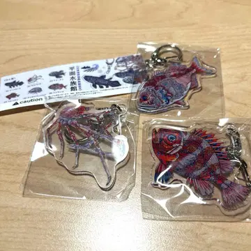 심해 수족관 한정판 심해어 아크릴 키링 세트 평면 수족관 NIBOSHI