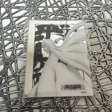 BLEACH 메탈릭 마그넷 컬렉션 히라코 신지