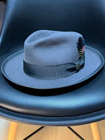 STETSON 위펫