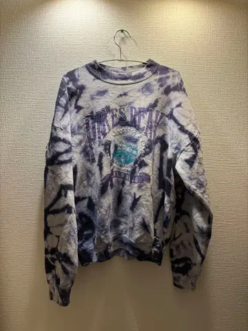 fruits of the room 타이다이 패턴 크루넥 트레이닝복