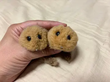 야마네 공방 야마네 봉제 인형 2체 세트