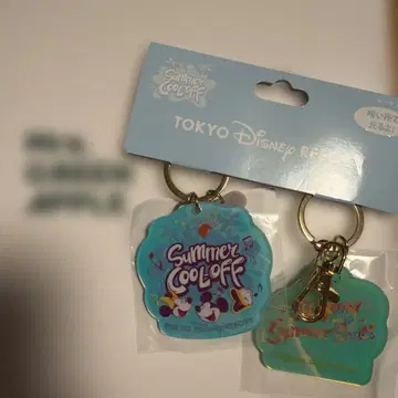 도쿄 디즈니 리조트 아크릴 키링 미사용 새상품