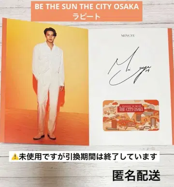 SEVENTEEN BE THE SUN THE CITY 오사카 라피트