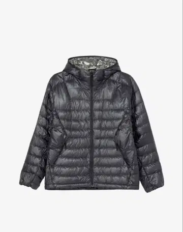 Goldwin 1000 필파워 다운 자켓