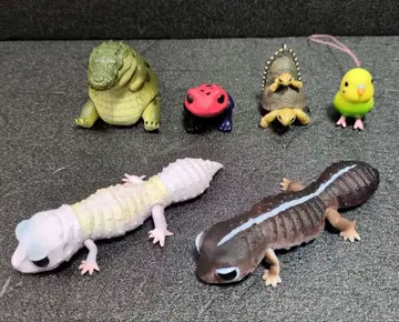 생물대도감 쁘띠 레오파드게코 여러가지 세트
