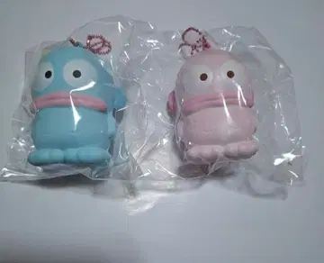 스퀴즈 산리오 한교동