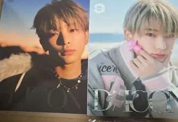 HARUA 하루아 Dicon &team