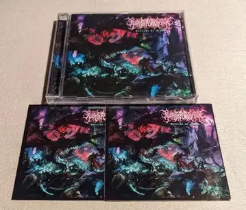 Ruins of Perception / Ballads ov Blood