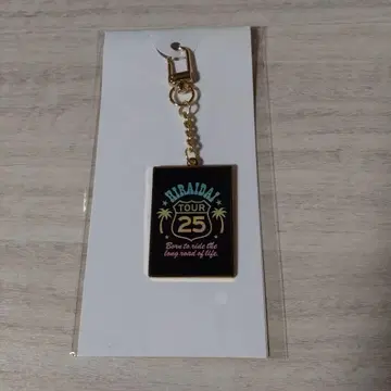 HIRAI DAI TOUR 25 키링