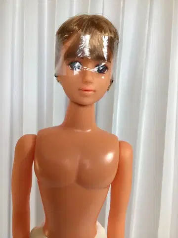 제프 제니 프렌드