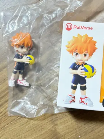 PalVerse 하이큐!! 히나타 쇼요