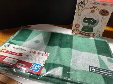 Mrs. GREEN APPLE 라스트 원 돔 라이트 C상 스톨