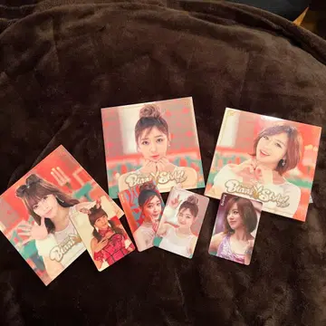 T-ARA Bunnystyle CD 트레이딩 카드 포함
