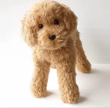 토이 푸들풍 봉제 인형 베이지