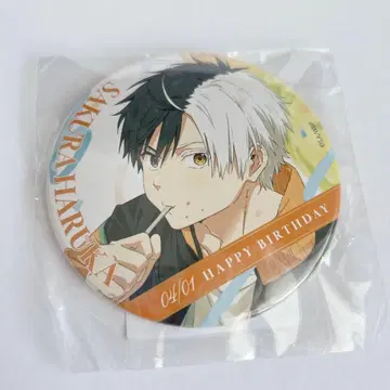 사쿠라 하루카 WIND BREAKER 벌스데이 빅 캔뱃지