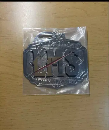 LMS 메탈 키링