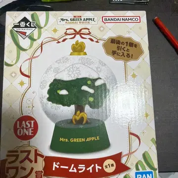 Mrs. GREEN APPLE LAST ONE상 돔 라이트