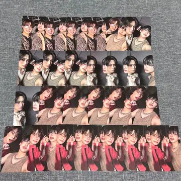 &TEAM 유마 YUMA 케미 트레이딩 카드 묶음 판매