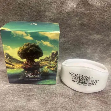 미세스 그린애플 Mrs GREENAPPLE 노아의 방주 라이트 밴드