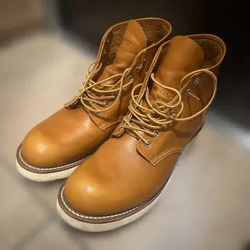 레드윙 아이리쉬 세터 골드러셋 90s