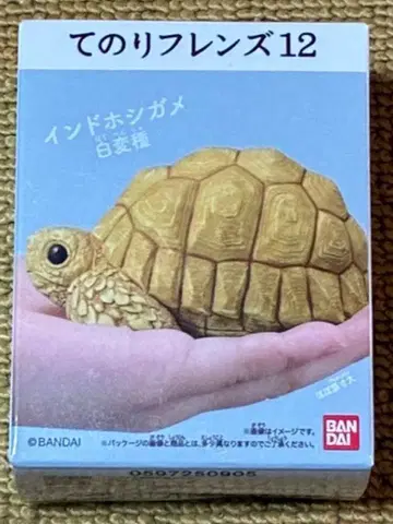 테노리 프렌즈 12 -파충류 양서류- 인도 호시 거북 화이트 변종