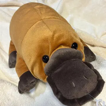 오리너구리 봉제 인형 약 55cm