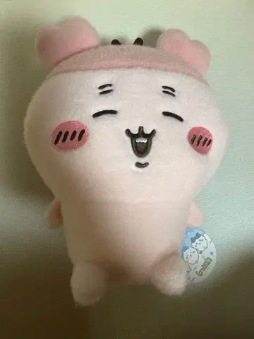 치이카와 시이푸와 봉제인형 2 헌책방 카니쨩