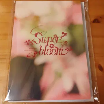 앙스타 스타포니 4th 팜플렛 파일 없음