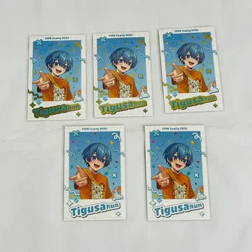 STPR Family 2025 랜덤 포토 카드 레어 치구사 군