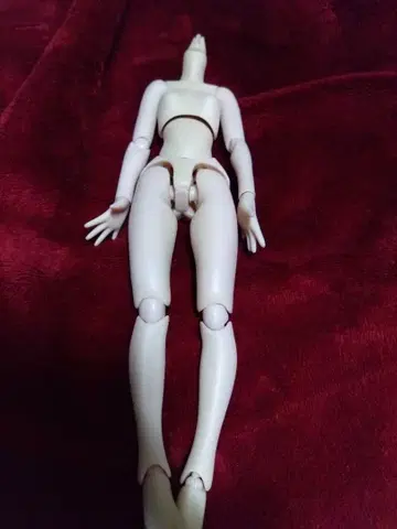 퓨어니모 모션 2 프레쉬 S 사이즈