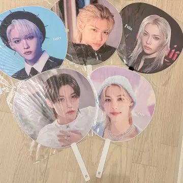 straykids Felix 필릭스 부채 5개 세트