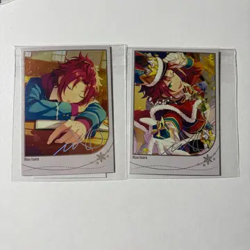 앙스타 모집 폴라로이드 파샤코레 이사라 마오 2장 세트