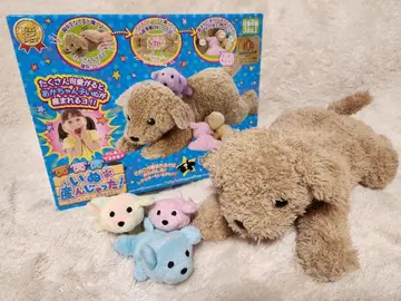 꿈 반려동물 강아지 낳았어! 봉제 인형