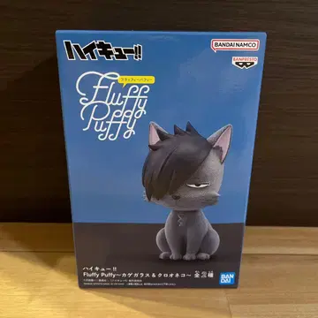 하이큐 Fluffy Puffy 쿠로오네코